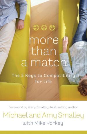 Cover of the book More Than a Match by Hemant Mehta