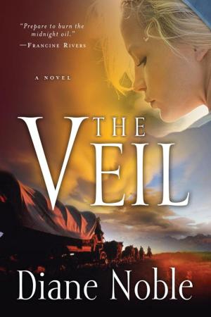 Cover of the book The Veil by Randy Petersen
