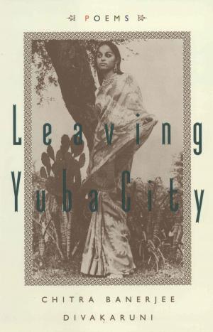 Cover of the book Leaving Yuba City by David Grossman