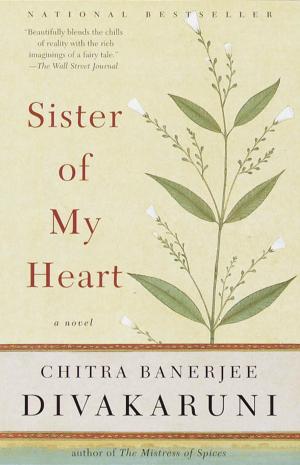 Book cover of Sister of My Heart