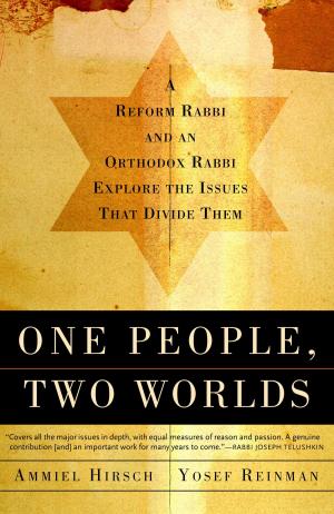 Cover of the book One People, Two Worlds by Elie Wiesel