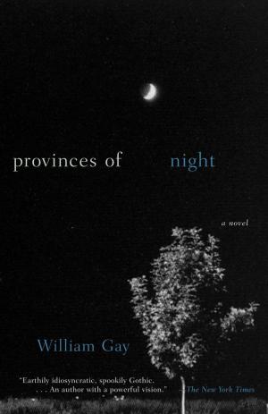 Cover of the book Provinces of Night by David Beers