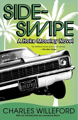Cover of the book Sideswipe by DC Pierson