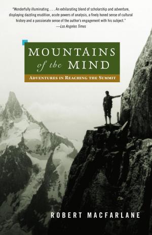 Cover of the book Mountains of the Mind by Patricia Albers