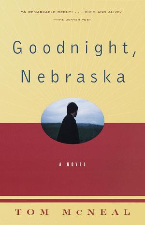 Book cover of Goodnight, Nebraska