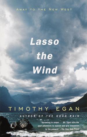 Book cover of Lasso the Wind
