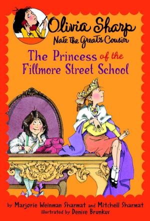 bigCover of the book The Princess of the Fillmore Street School by 