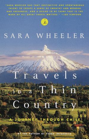 Cover of the book Travels in a Thin Country by Parnell Hall