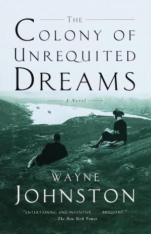 Cover of the book The Colony of Unrequited Dreams by Mark Dunn