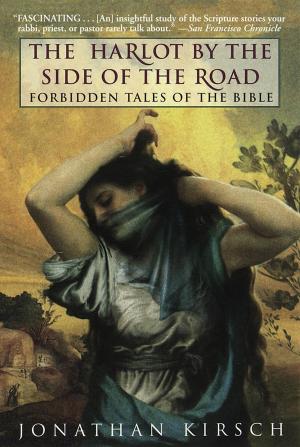 Book cover of The Harlot by the Side of the Road