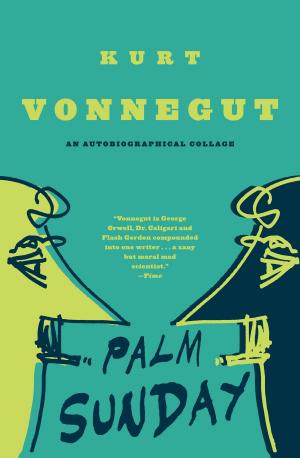 Cover of the book Palm Sunday by Jay Worrall
