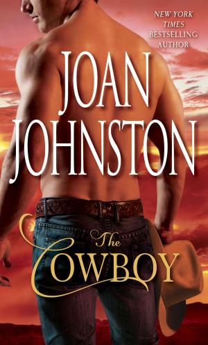 Cover of the book The Cowboy by Elizabeth Berg