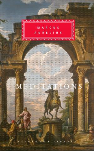 Cover of the book Meditations by Vladimir Nabokov