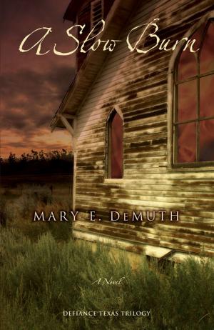 Cover of the book A Slow Burn by Phyllis Bennett