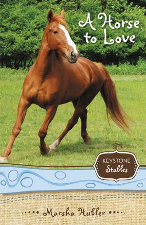bigCover of the book A Horse to Love by 