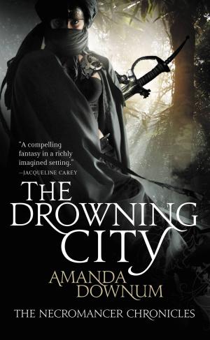 Cover of the book The Drowning City by Lilith Saintcrow