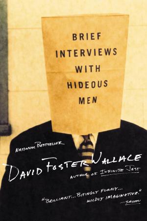 Book cover of Brief Interviews with Hideous Men