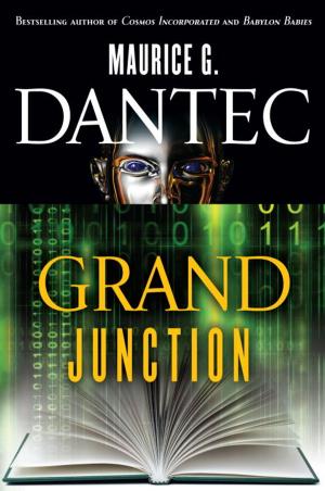 bigCover of the book Grand Junction by 