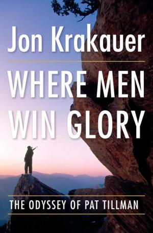 Cover of the book Where Men Win Glory by Julian Barnes