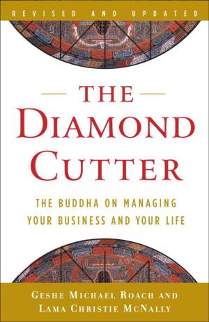 Book cover of The Diamond Cutter
