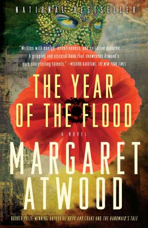Cover of the book The Year of the Flood by Julie Kramer