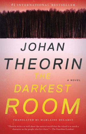 Cover of the book The Darkest Room by Christina Baldwin