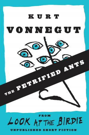 Cover of the book The Petrified Ants (Stories) by John Corbett