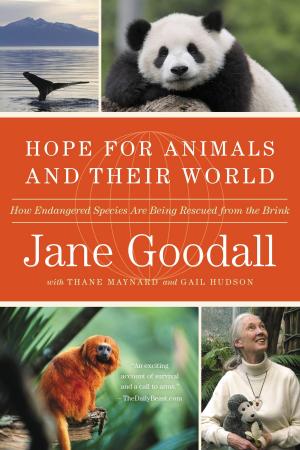 bigCover of the book Hope for Animals and Their World by 