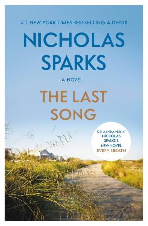 Cover of the book The Last Song by Robert Hicks