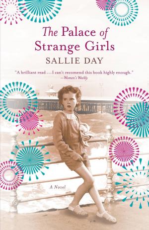 Book cover of The Palace of Strange Girls