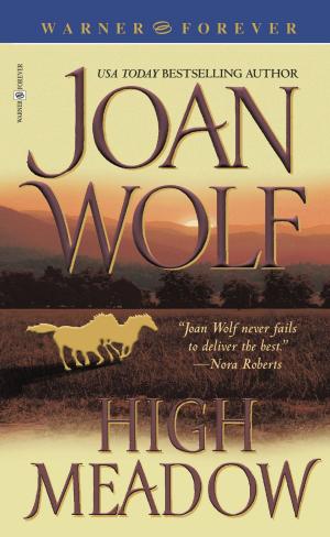 Cover of the book High Meadow by Listra Wilde
