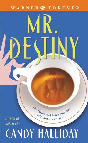 Cover of the book Mr. Destiny by Jackie Warner