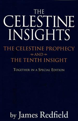 Cover of Celestine Insights - Limited Edition of Celestine Prophecy and Tenth Insight