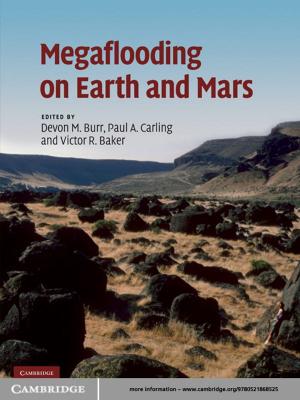 Cover of the book Megaflooding on Earth and Mars by André Revil, Abderrahim Jardani