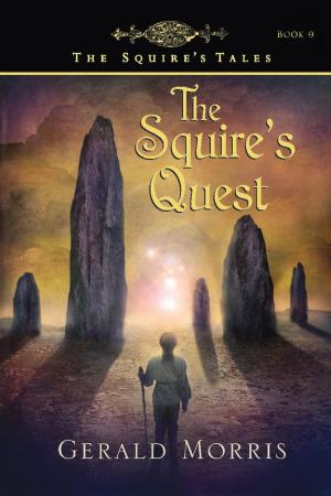 Cover of the book The Squire's Quest by Sara Wason