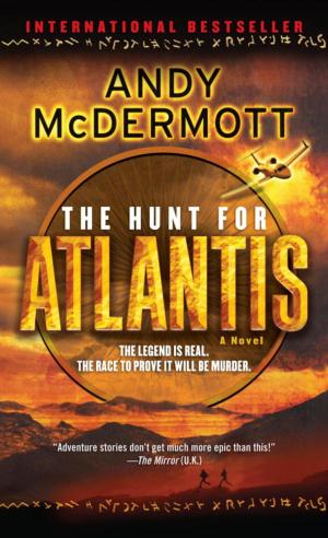 Cover of the book The Hunt for Atlantis by Violetta Rand