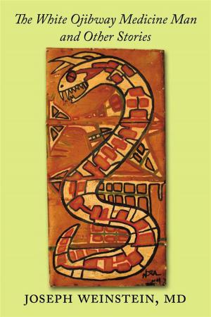 Cover of the book The White Ojibway Medicine Man and Other Stories by Alex P. Hewing