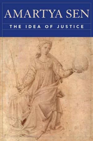 Cover of the book The Idea of Justice by Juliana Spahr