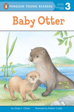 Cover of the book Baby Otter by Cynthea Liu