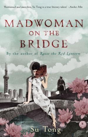 Book cover of Madwoman On The Bridge And Other Stories