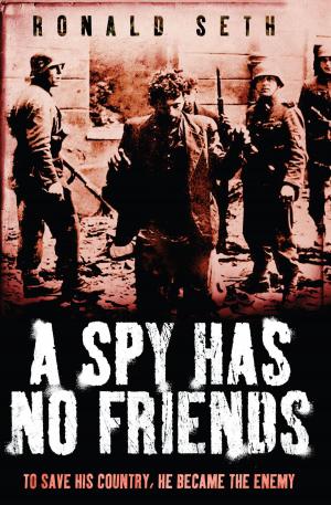 Cover of the book A Spy Has No Friends by Lyn Andrews