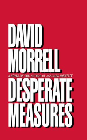 Cover of the book Desperate Measures by Michele Andrea Bowen