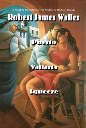 Book cover of Puerto Vallarta Squeeze
