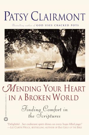 Book cover of Mending Your Heart in a Broken World