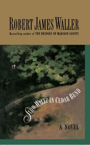 Cover of the book Slow Waltz in Cedar Bend by JM Stewart
