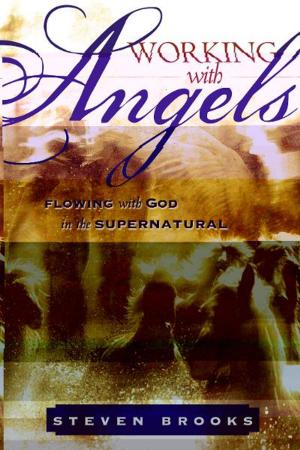bigCover of the book Working with Angels: Flowing With God in the Supernatural by 