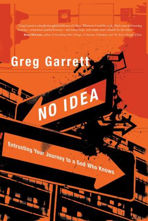 Cover of the book No Idea by Stephen Arterburn, Patricia A Kuhlman, MRC