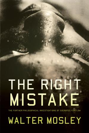 Cover of the book The Right Mistake by Niall Ferguson
