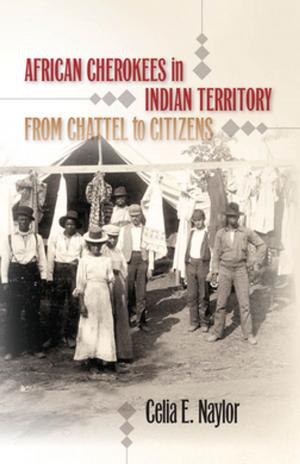 Cover of the book African Cherokees in Indian Territory by Stanley L. Bentley