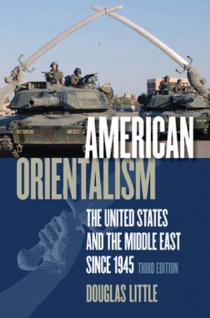 Cover of the book American Orientalism by Tracy E. K'Meyer